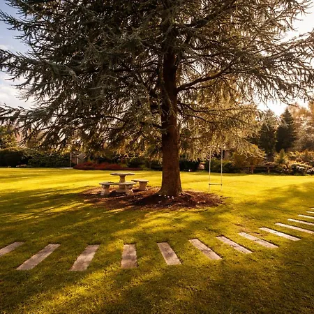 Wellness Tuin Woestijnroos Wellness Met Prive Sauna Stoomcabine En Jacuzzi Inclusief Gratis Prosecco En Partner Box - Ultieme Partner Beleving - Holiday home *