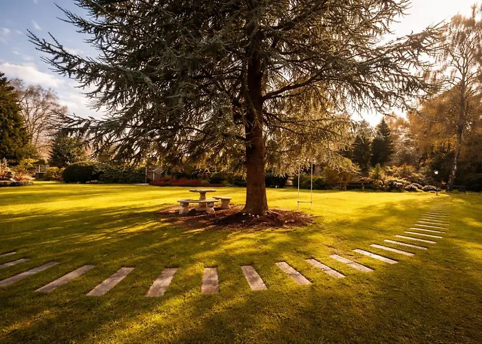 Wellness Tuin Woestijnroos Wellness Met Prive Sauna Stoomcabine En Jacuzzi Inclusief Gratis Prosecco En Partner Box - Ultieme Partner Beleving - Holiday home *